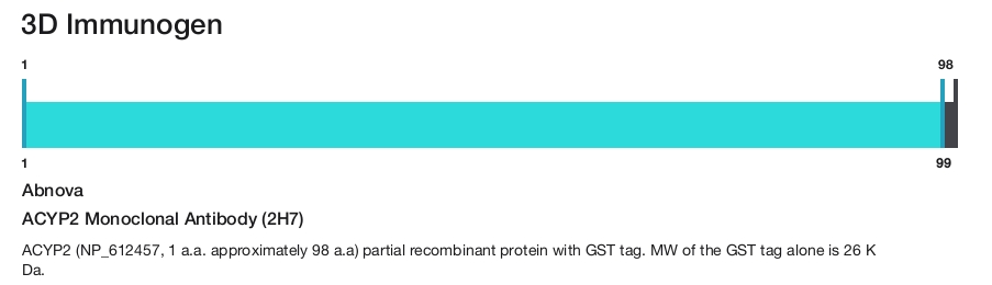 ACYP2 Monoclonal Antibody (2H7)
