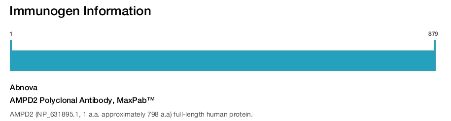 AMPD2 Polyclonal Antibody, MaxPab™