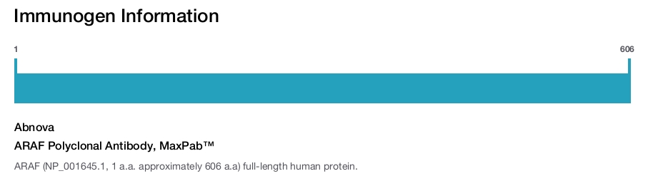 ARAF Polyclonal Antibody, MaxPab&trade;