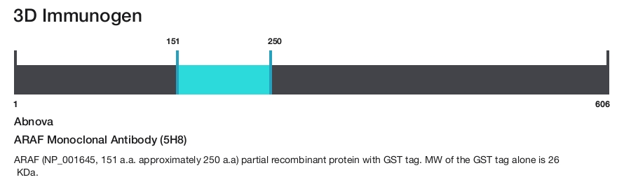 ARAF Monoclonal Antibody (5H8)