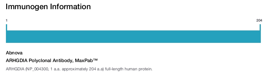 ARHGDIA Polyclonal Antibody, MaxPab™