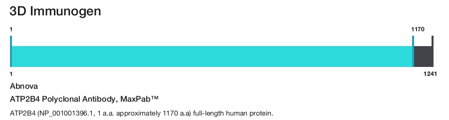 ATP2B4 Polyclonal Antibody, MaxPab&trade;