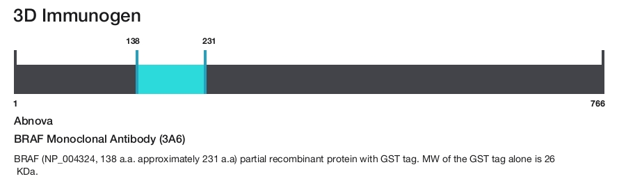 BRAF Monoclonal Antibody (3A6)