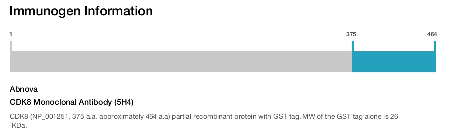 CDK8 Monoclonal Antibody (5H4)