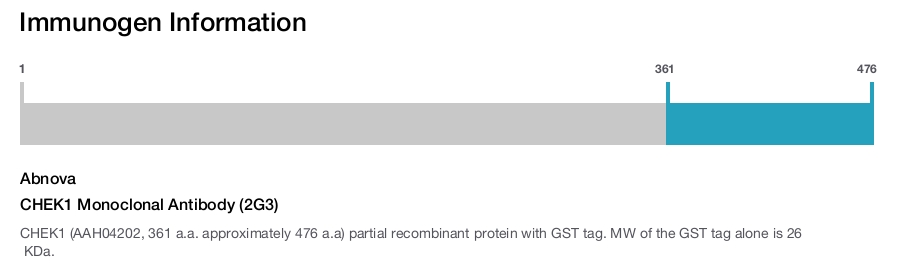 CHEK1 Monoclonal Antibody (2G3)