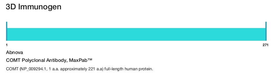 COMT Polyclonal Antibody, MaxPab&trade;