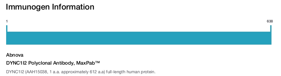 DYNC1I2 Polyclonal Antibody, MaxPab™