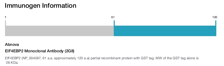 EIF4EBP2 Monoclonal Antibody (2G8)