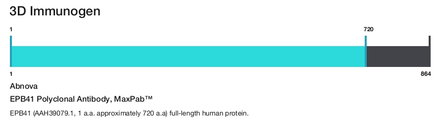 EPB41 Polyclonal Antibody, MaxPab&trade;