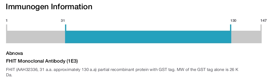 FHIT Monoclonal Antibody (1E3)