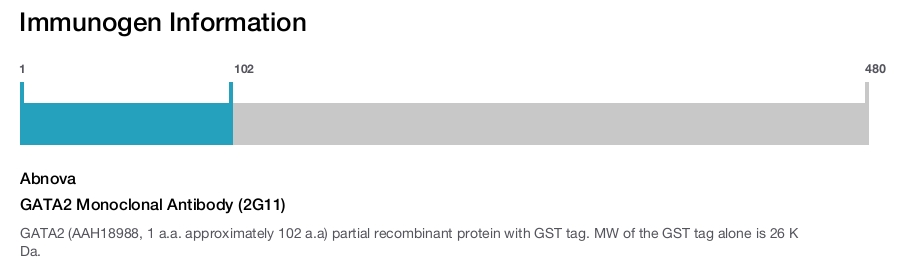 GATA2 Monoclonal Antibody (2G11)