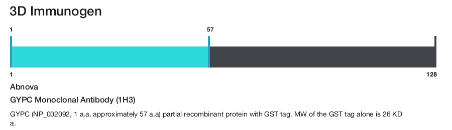 GYPC Monoclonal Antibody (1H3)