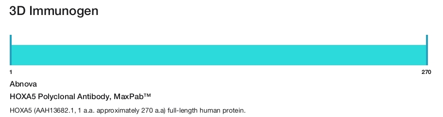 HOXA5 Polyclonal Antibody, MaxPab&trade;