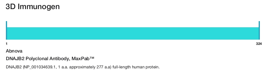 DNAJB2 Polyclonal Antibody, MaxPab&trade;