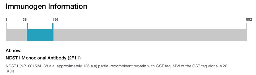 NDST1 Monoclonal Antibody (2F11)