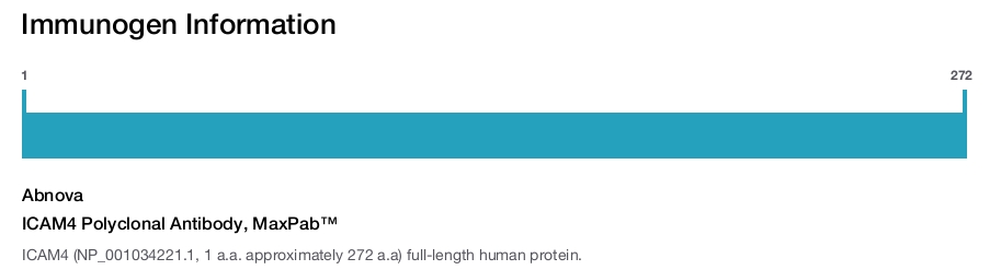 ICAM4 Polyclonal Antibody, MaxPab™