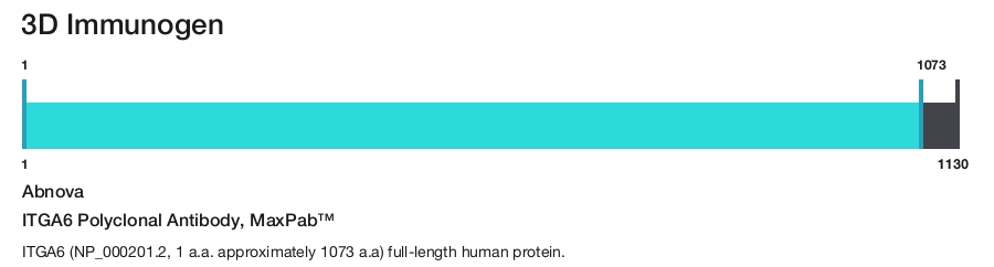 ITGA6 Polyclonal Antibody, MaxPab&trade;