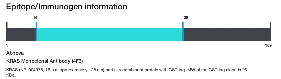 KRAS Monoclonal Antibody (4F3)