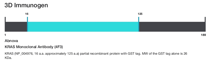 KRAS Monoclonal Antibody (4F3)