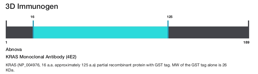KRAS Monoclonal Antibody (4E2)