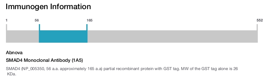 SMAD4 Monoclonal Antibody (1A5)