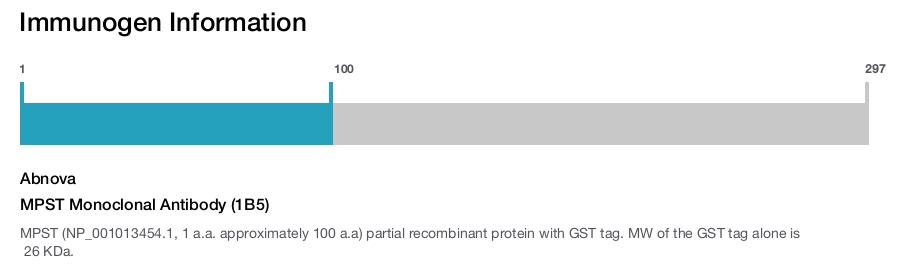 MPST Monoclonal Antibody (1B5)