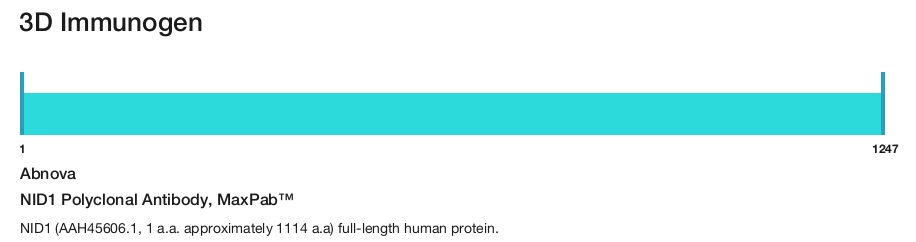 NID1 Polyclonal Antibody, MaxPab&trade;