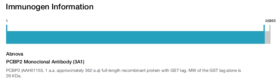 PCBP2 Monoclonal Antibody (3A1)