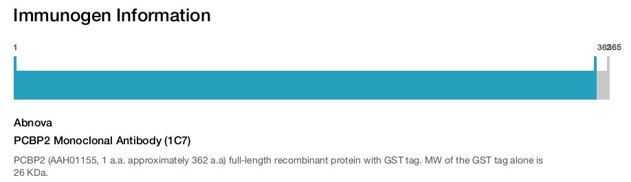 PCBP2 Monoclonal Antibody (1C7)