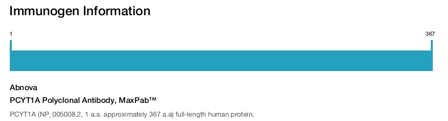 PCYT1A Polyclonal Antibody, MaxPab™