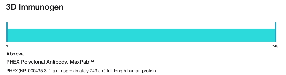 PHEX Polyclonal Antibody, MaxPab&trade;