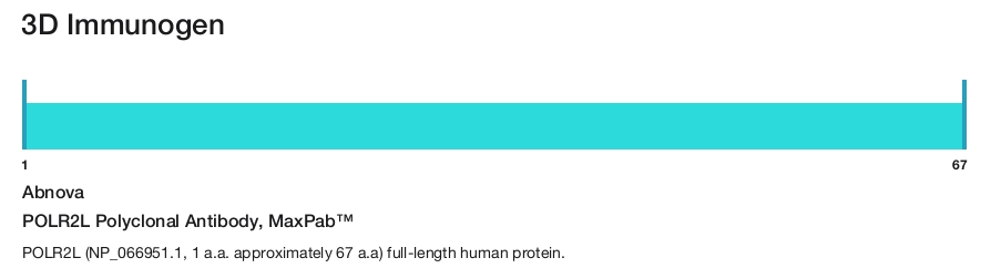 POLR2L Polyclonal Antibody, MaxPab&trade;