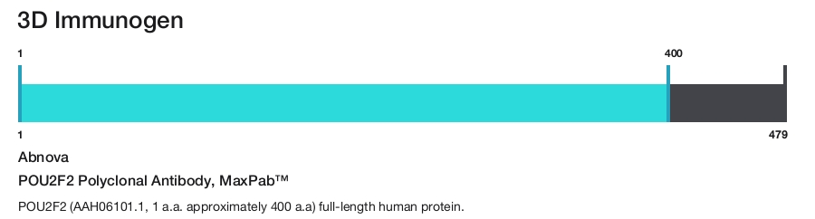 POU2F2 Polyclonal Antibody, MaxPab&trade;