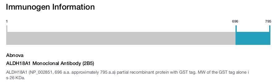 ALDH18A1 Monoclonal Antibody (2B5)
