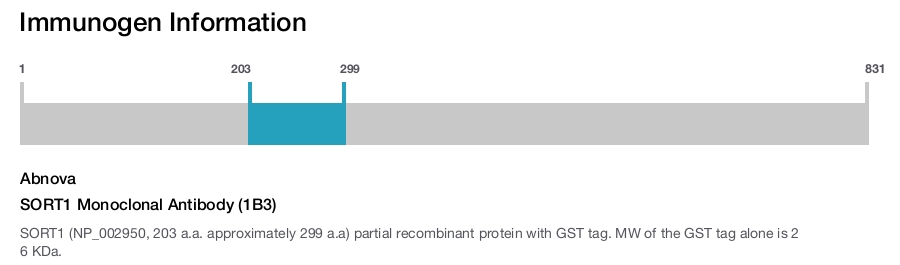 SORT1 Monoclonal Antibody (1B3)