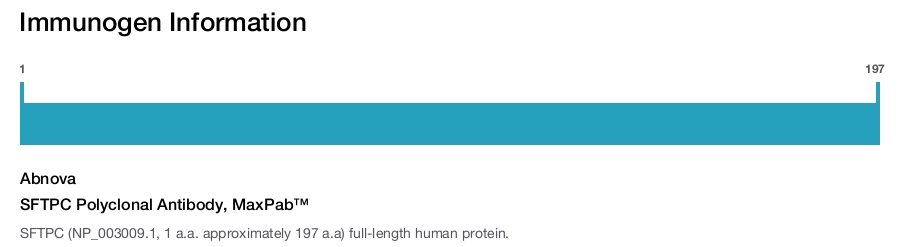 SFTPC Polyclonal Antibody, MaxPab&trade;