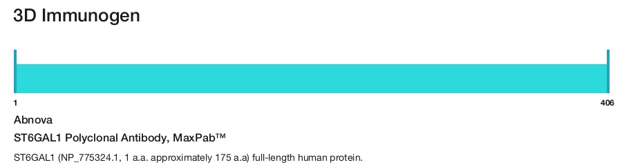 ST6GAL1 Polyclonal Antibody, MaxPab&trade;