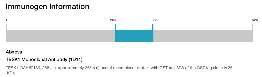 TESK1 Monoclonal Antibody (1D11)
