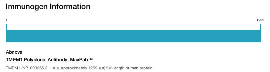 TMEM1 Polyclonal Antibody, MaxPab&trade;