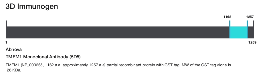 TMEM1 Monoclonal Antibody (5D5)