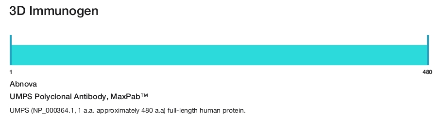 UMPS Polyclonal Antibody, MaxPab&trade;