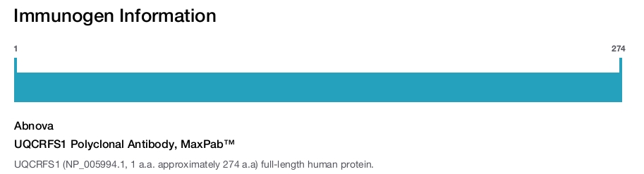 UQCRFS1 Polyclonal Antibody, MaxPab&trade;