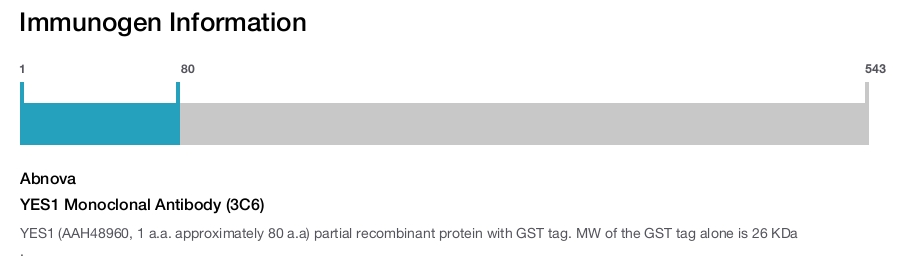 YES1 Monoclonal Antibody (3C6)