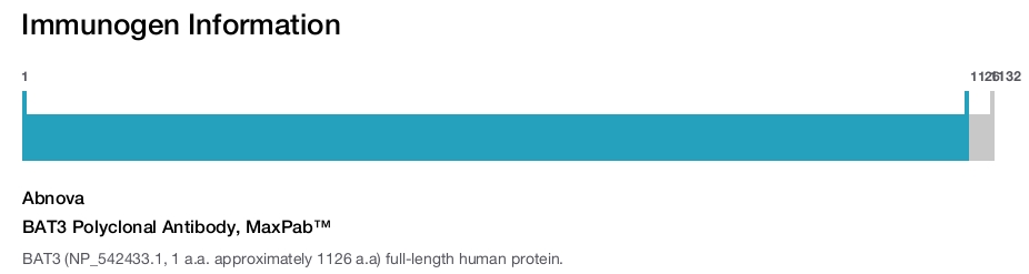 BAT3 Polyclonal Antibody, MaxPab™