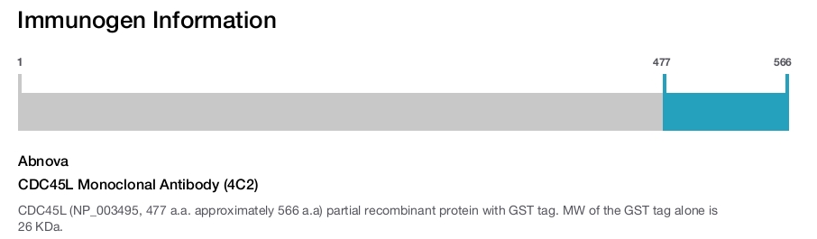 CDC45L Monoclonal Antibody (4C2)