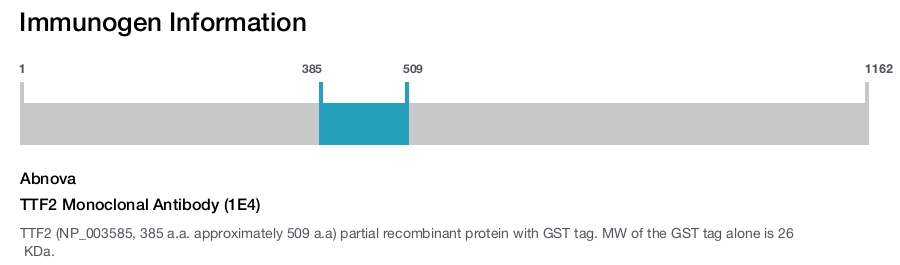 TTF2 Monoclonal Antibody (1E4)