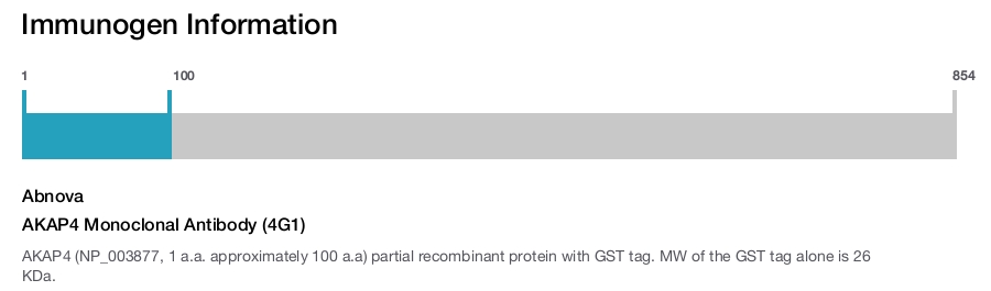 AKAP4 Monoclonal Antibody (4G1)