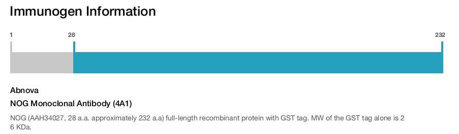 NOG Monoclonal Antibody (4A1)