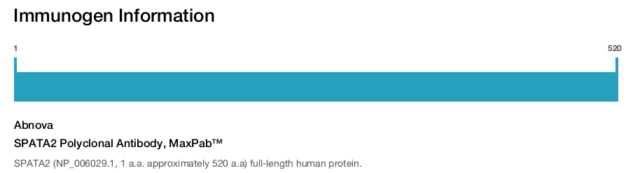 SPATA2 Polyclonal Antibody, MaxPab™