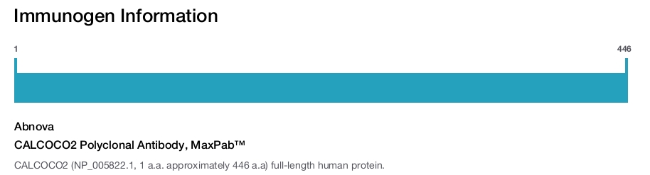 CALCOCO2 Polyclonal Antibody, MaxPab&trade;